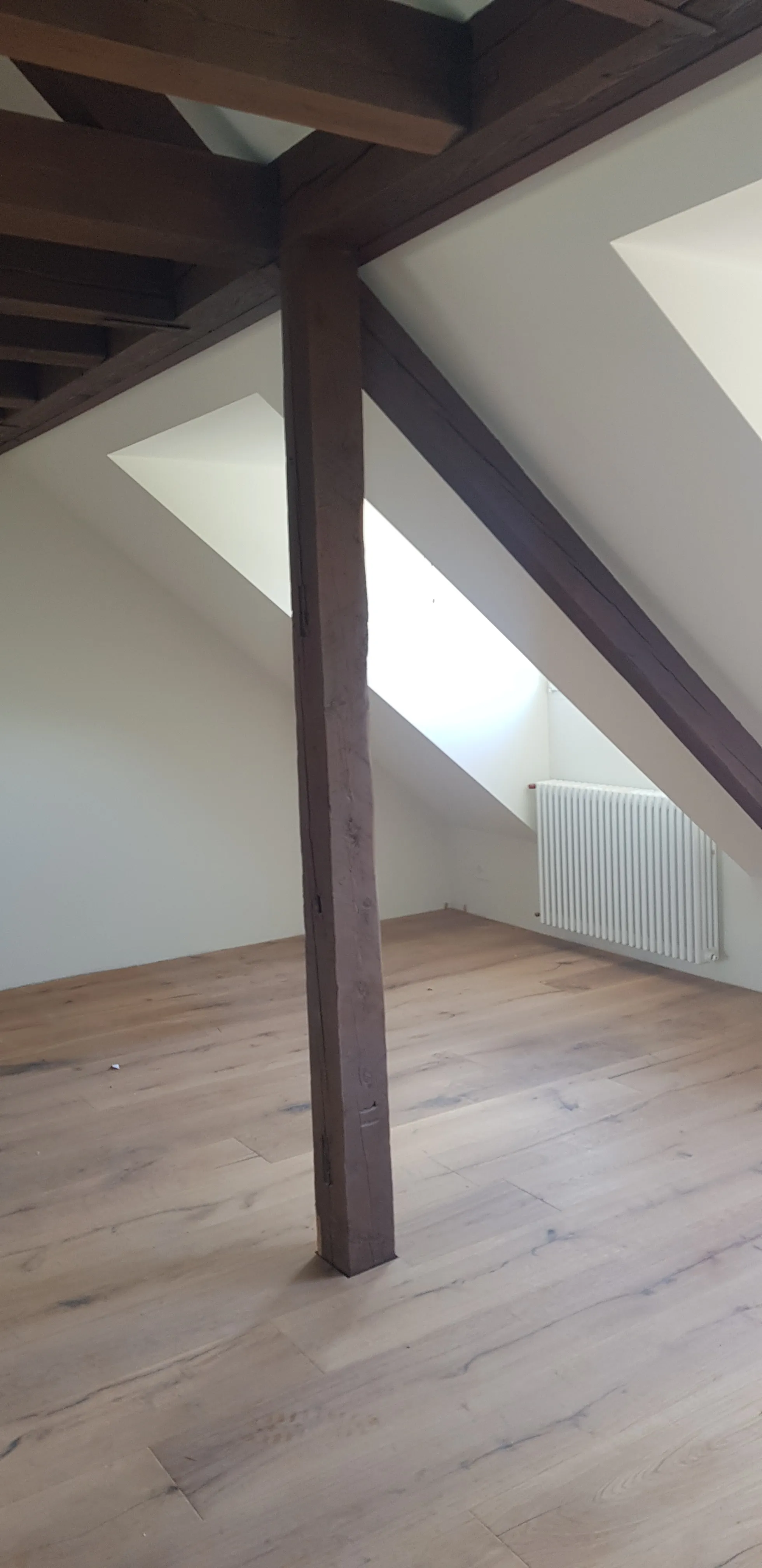 Bild 5 Totalsanierung Mehrfamilienhaus, Riehen