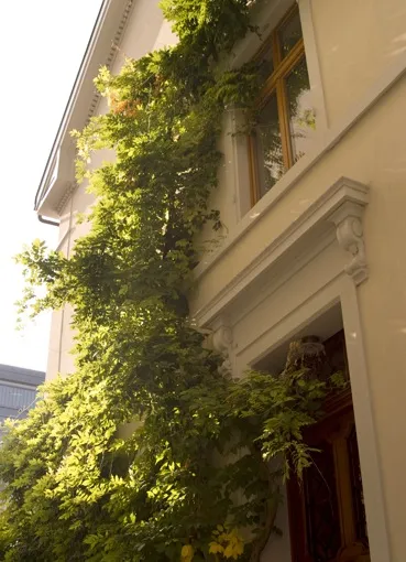 Bild 6 Umbau und Sanierung Stadt-Villa, Basel